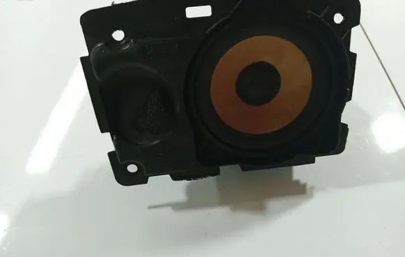 Front door speaker