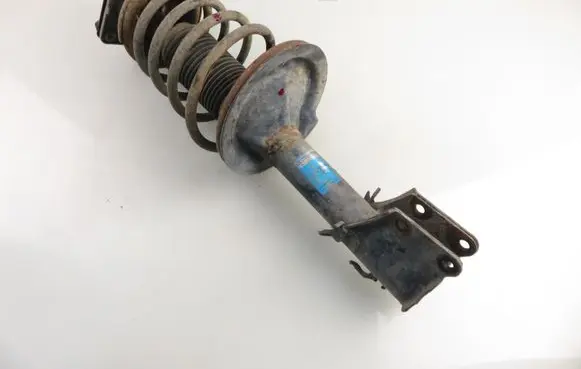 Fiat Doblo Front shock absorber with coil spring
