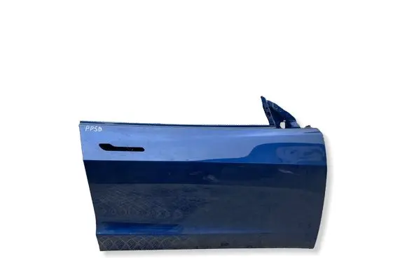 Tesla Model 3 Front door 