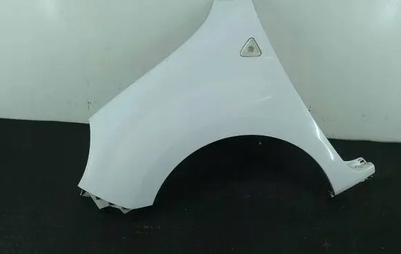 Renault Kangoo II Fender