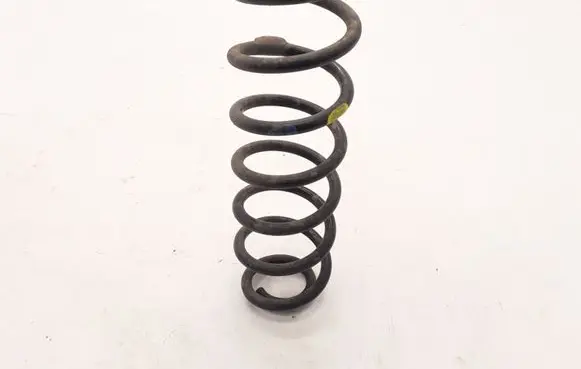 Renault Megane III Rear coil spring 550200011R