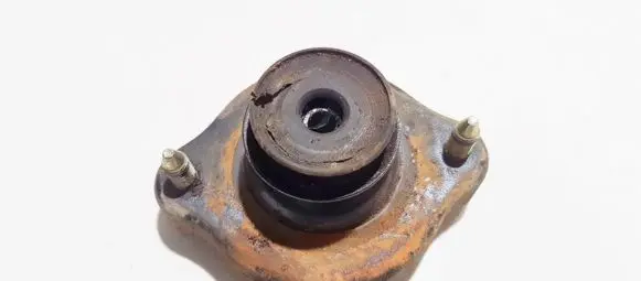 Coil spring mount