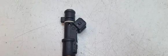 Citroen C5 Fuel injector 01F003A