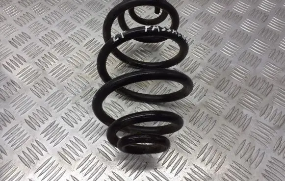 Volkswagen PASSAT B5.5 Rear coil spring BRAK