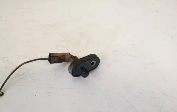 Ford Sierra Front door sensor 