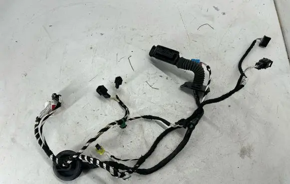 Volkswagen Tiguan Allspace Front door wiring loom 5NB971161S 71d1702
