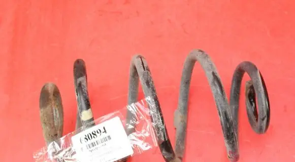 Rear coil spring