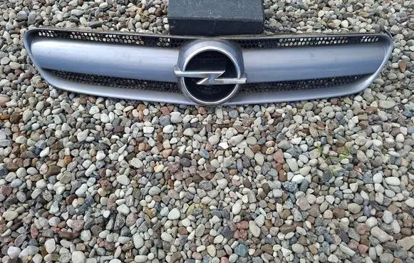 Opel Signum Front grill 13123491