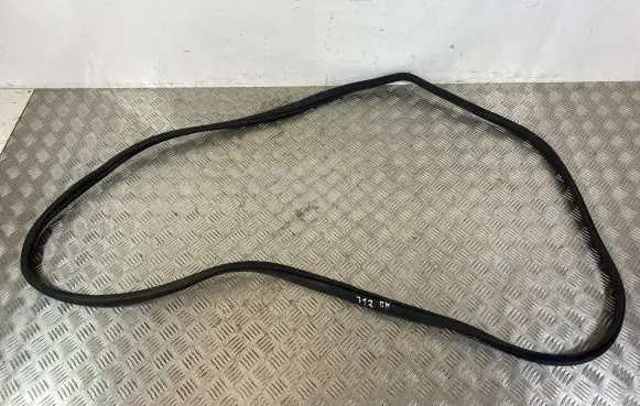 SsangYong Rexton Front door rubber seal