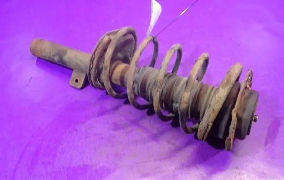 Peugeot 206 Front shock absorber with coil spring