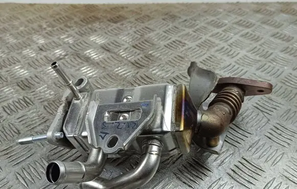 EGR valve cooler