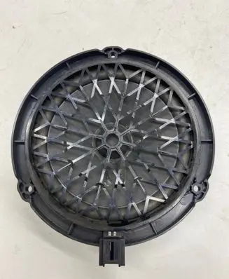 Front door speaker