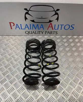 Rear coil spring
