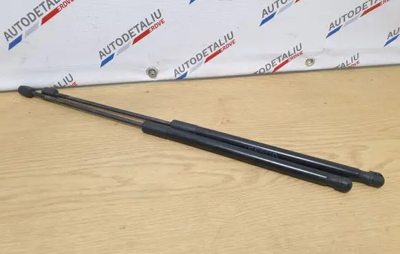 Tailgate/trunk strut/damper