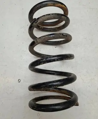 Rear coil spring