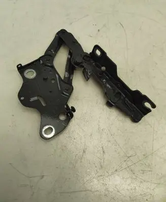 BMW X7 G07 Engine bonnet/hood hinges 7418201