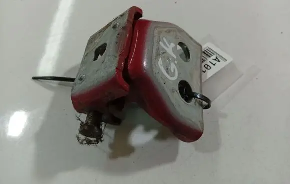 Peugeot 307 Rear door lower hinge 