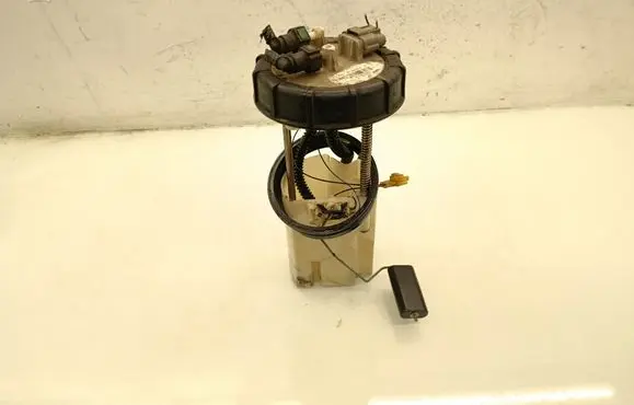 Nissan Qashqai+2 In-tank fuel pump 