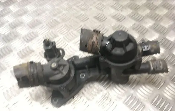 Thermostat/thermostat housing