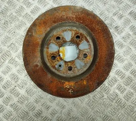 Tesla Model X Front brake disc 102509900B
