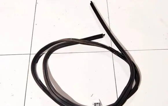 Ford Focus Rubber seal rear door 