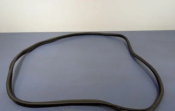 BMW 1 F40 Front door rubber seal 7452335