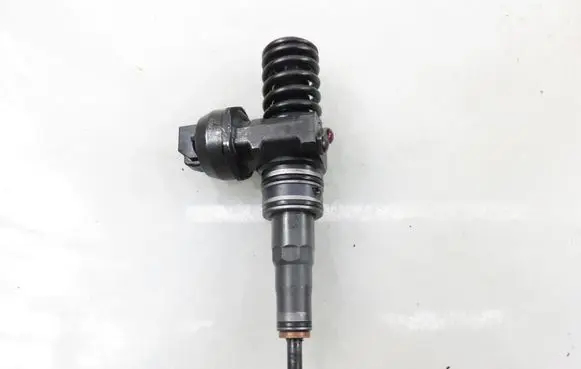 Volkswagen Polo IV 9N3 Fuel injector 0414720313 038130073BN