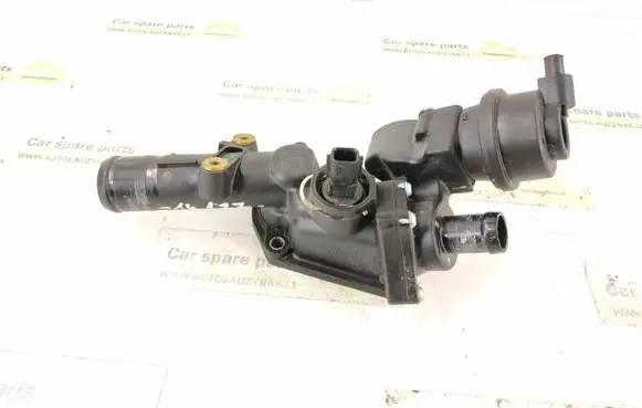 Thermostat/thermostat housing