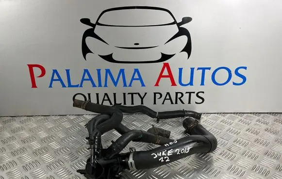 Nissan Juke I F15 Thermostat 110617089R