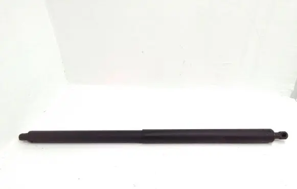 Opel Insignia A Tailgate/trunk strut/damper 13247949