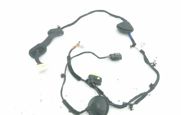 Front door wiring loom