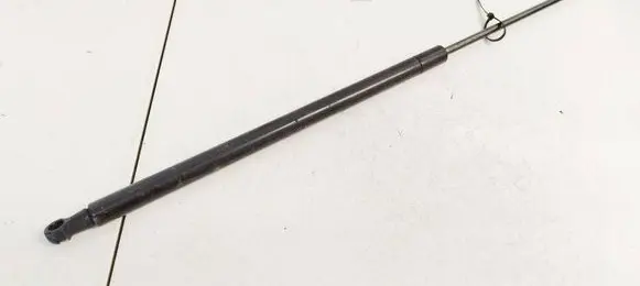 Nissan Juke I F15 Tailgate/trunk strut/damper 904511KA1B