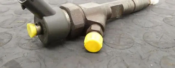 Renault Laguna II Fuel injector 0445110021