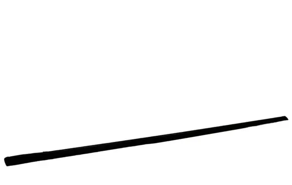 Renault Scenic II - Grand scenic II Front door glass trim molding