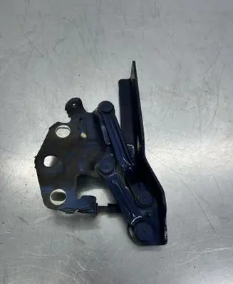 Volkswagen PASSAT B6 Front door check strap stopper 3C0823301D