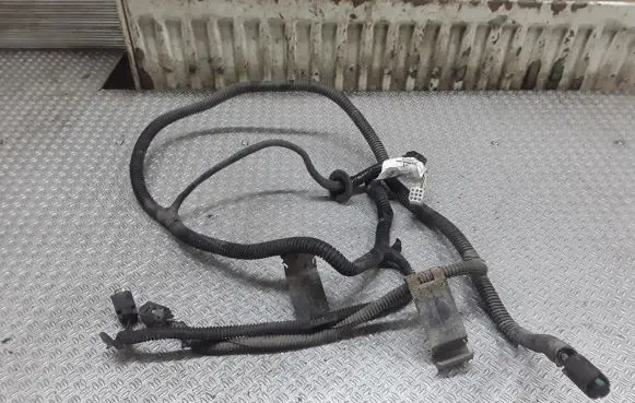 Opel Signum Parking sensor (PDC) wiring loom 24438408