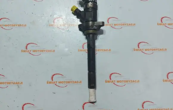 Citroen C4 I Picasso Fuel injector 0445110259