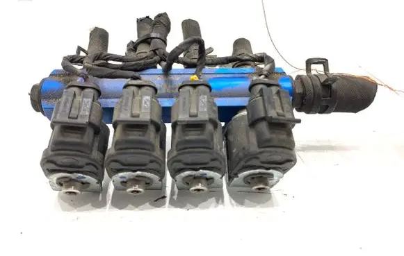 Dacia Sandero LP gas injector 67R-0211417