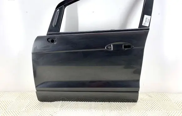 Ford Ecosport Front door 