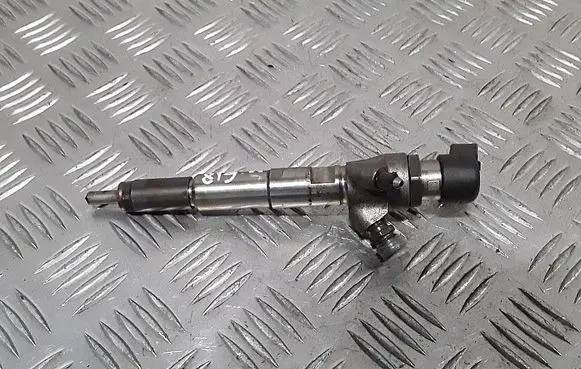 Dacia Duster Fuel injector H8200704191 166008052R
