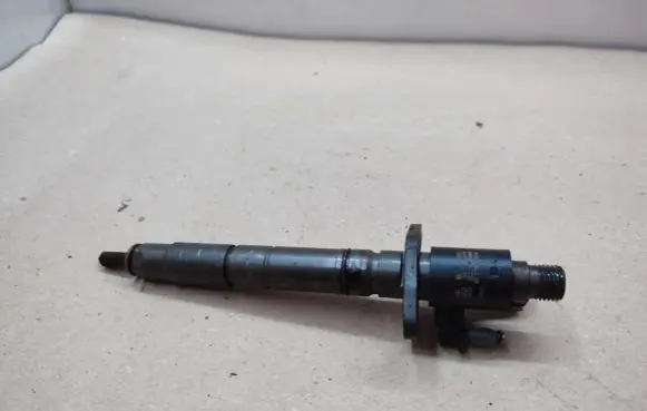 Jaguar XF X250 Fuel injector 0445116013