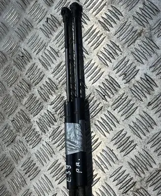 BMW 5 E39 Front shock absorber with coil spring 325700 007938N0890