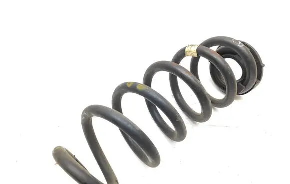 Rear coil spring