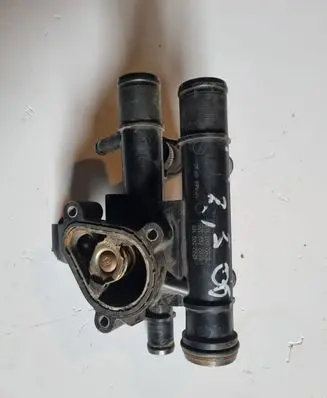 Thermostat/thermostat housing