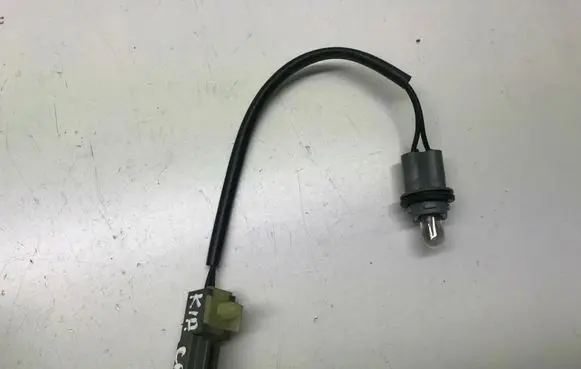 KIA Carens I Rear tail light bulb 