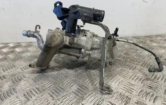 Citroen C4 II EGR valve 50563902