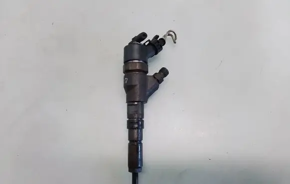 Peugeot 406 Fuel injector 0445110076