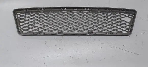 BMW 3 E92 E93 Front bumper lower grill 7175298
