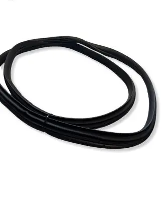 Hyundai Ioniq 5 Rubber seal rear door 