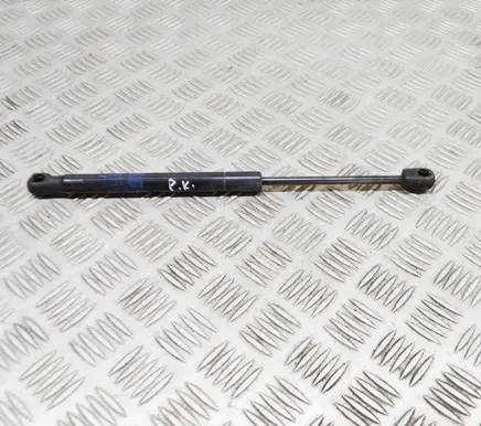 Tesla Model X Front bonnet/hood damper/strut 103387900B